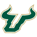 South Florida Bulls